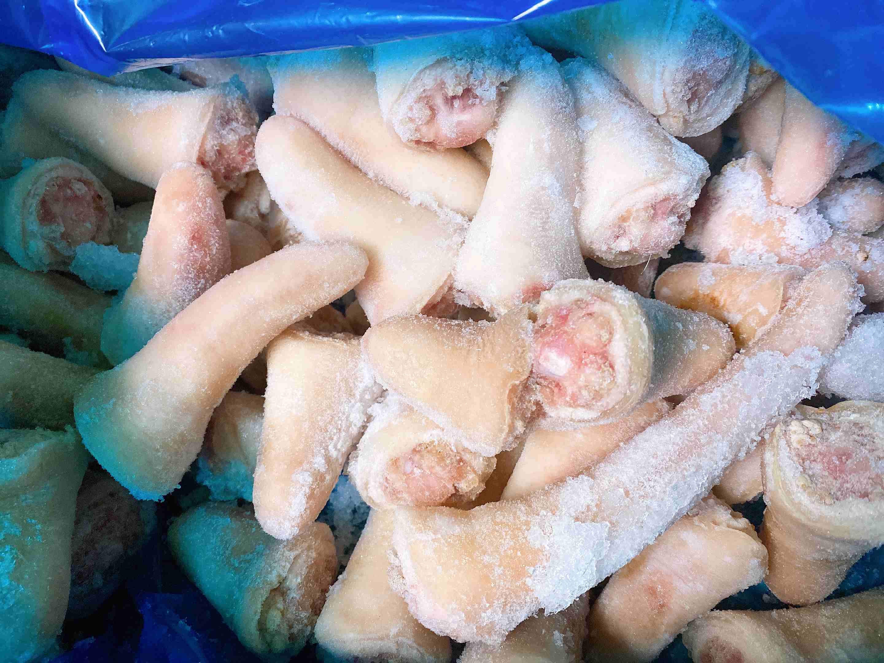 Đuôi Heo Đông Lạnh – Giá Sỉ, Nguyên Thùng, Bảo Quản Chuẩn